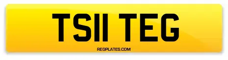 TS11 TEG