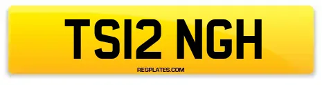 TS12 NGH