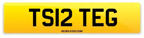 TS12 TEG