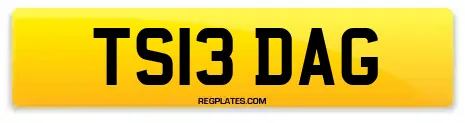 TS13 DAG