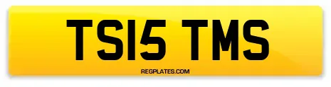 TS15 TMS