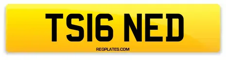 TS16 NED