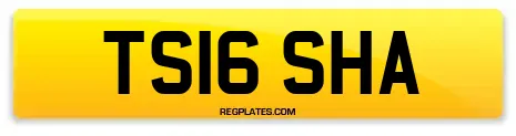 TS16 SHA