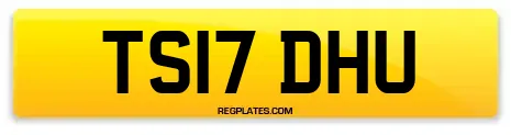 TS17 DHU