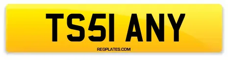 TS51 ANY