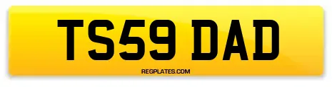 TS59 DAD