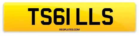 TS61 LLS