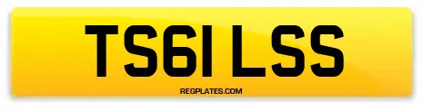 TS61 LSS