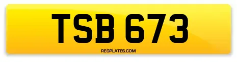 TSB 673