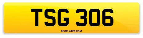 TSG 306