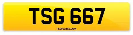 TSG 667
