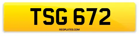 TSG 672