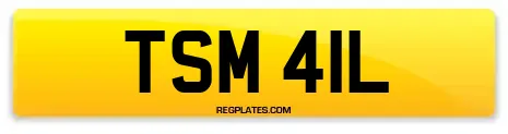 TSM 41L