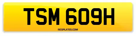 TSM 609H
