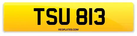 TSU 813