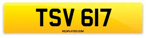 TSV 617