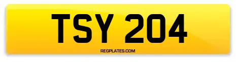TSY 204