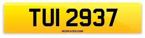 TUI 2937