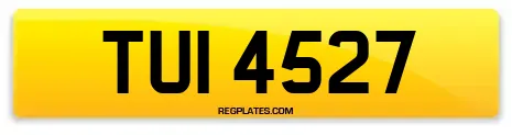 TUI 4527