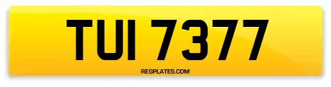 TUI 7377