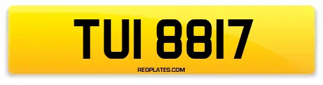 TUI 8817