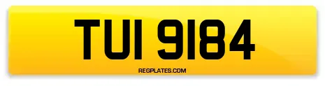 TUI 9184