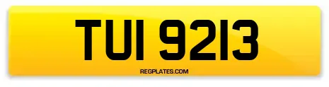 TUI 9213