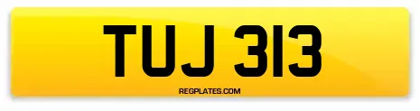 TUJ 313