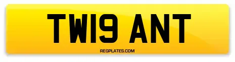 TW19 ANT