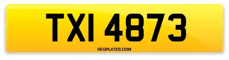 TXI 4873