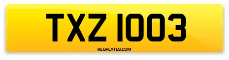 TXZ 1003