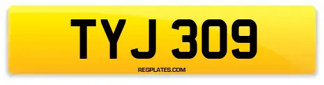 TYJ 309