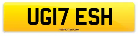 UG17 ESH