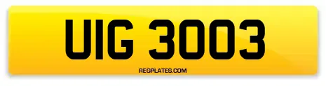 UIG 3003