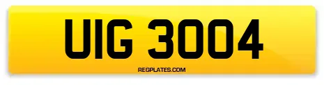 UIG 3004