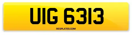 UIG 6313