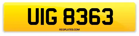 UIG 8363