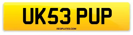 UK53 PUP