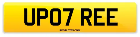 UP07 REE