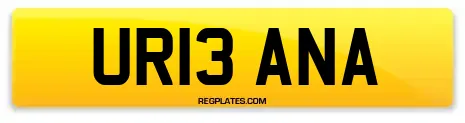 UR13 ANA