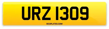 URZ 1309