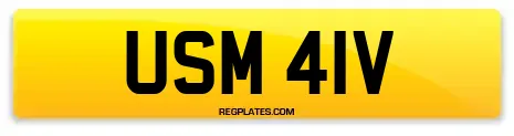 USM 41V