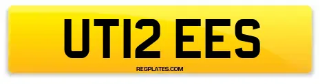 UT12 EES