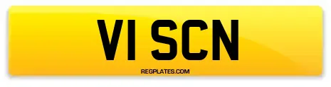 V1 SCN