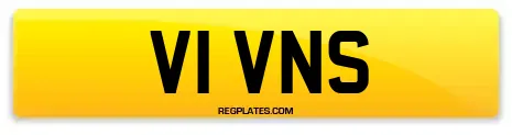 V1 VNS