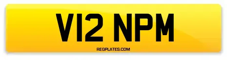 V12 NPM