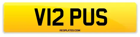 V12 PUS