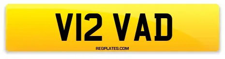 V12 VAD