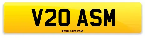 V20 ASM