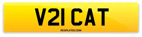 V21 CAT